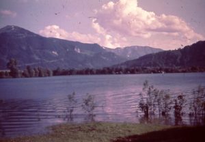 024_Steiner_Schachtel-AutoKorrektur