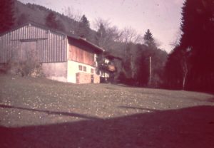 039_Steiner_Schachtel-AutoKorrektur