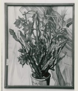 Rotblühende Kaktee, um 1932, Aquarell, 80x60cm, Städt. Galerie im Lenbachhaus, München