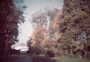 Steiner_02_047-autokorrektur