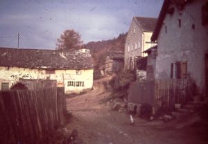 Steiner_04_007_autokorrektur
