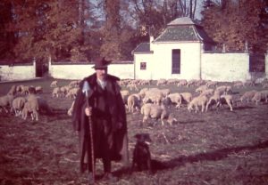 Steiner_04_027_autokorrektur
