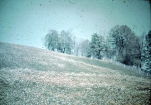 Steiner_05_034_autokorrektur