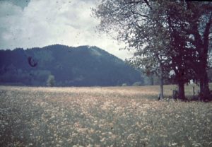 Steiner_05_042_autokorrektur